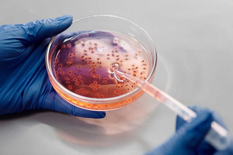 A biological test metaphorically representing studying the biological oxidation behind ageing.