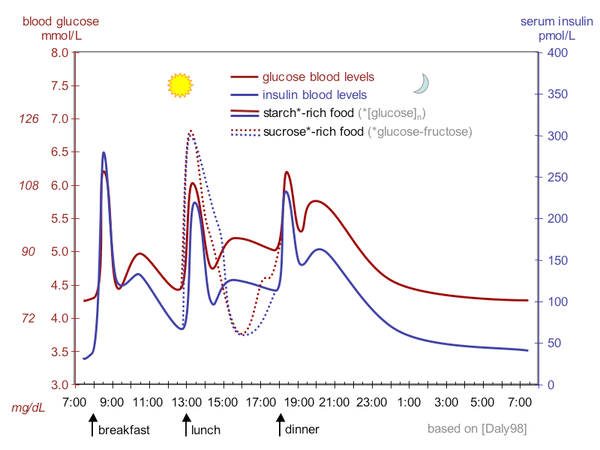 A chart that shows how blood glucose levels drop during sleep - to illustrate why you feel odd when you oversleep