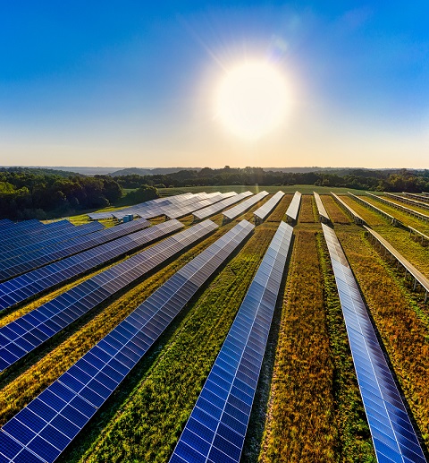 A picture of a solar farm to explain the topic: optimize energy consumption