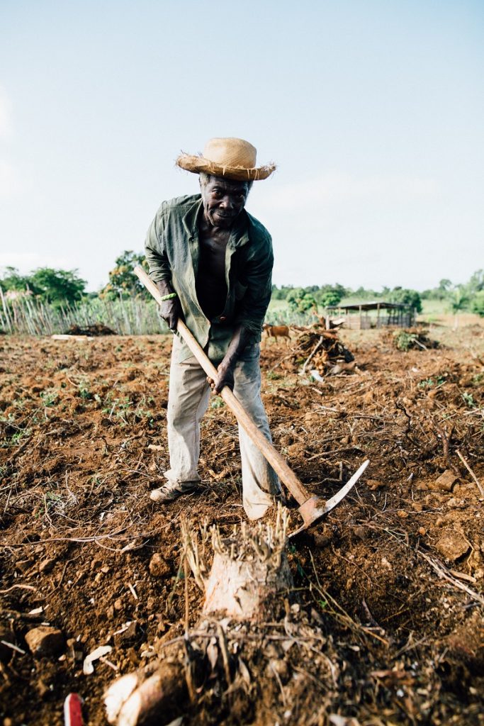 A farmer working on his field - to illustrate why a soap-resistant epidemic doesn't exist