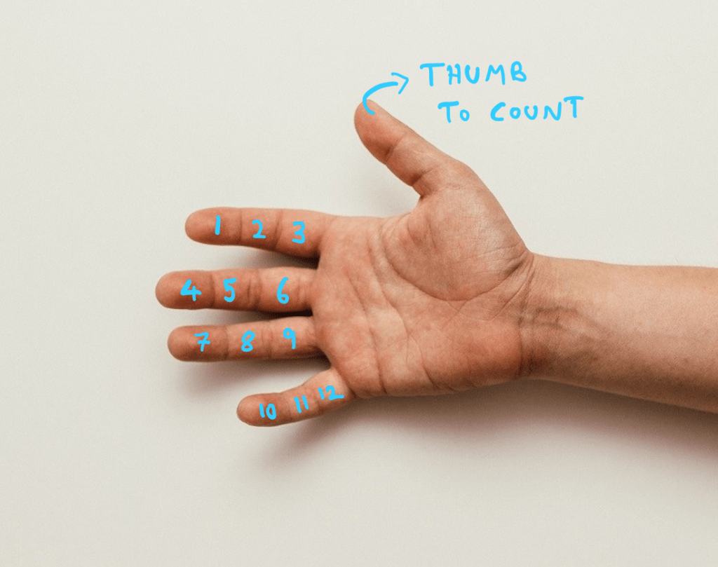 An image showing that the total number of features on the human fingers minus the thumb equals 12. The opposable thumb is then used to count using the features.