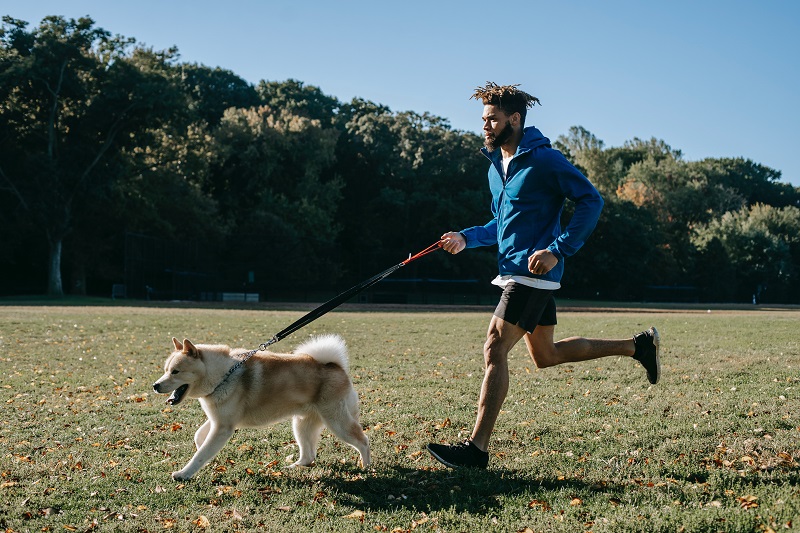 A picture of a young man running with his dog in front of him in a park - to help stamina improve quickly