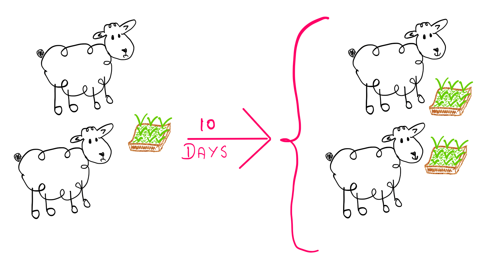 The Doubling Puzzle: On the left two unhappy sheep stand before one patch of grass. Ten days later, the two sheep seem happy and are standing before two patches of grass.