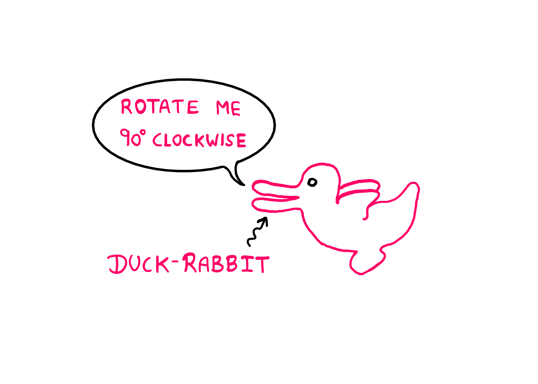 Symmetry: How To Really "See" It? - An illustration showing a duck with its beak pointing towards the left and tail pointing towards the right. It is labelled "Duck-Rabbit". The Duck says, "Rotate me 90° clockwise." When you rotate the duck clockwise 90°, it appears to become a rabbit.