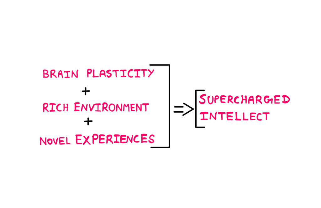 Brain Plasticity: How To Really Supercharge Your Intellect - A illustration showing the following verbal equation: Brain plasticity + Rich Environment + Novel Experiences = Supercharged Intellect.