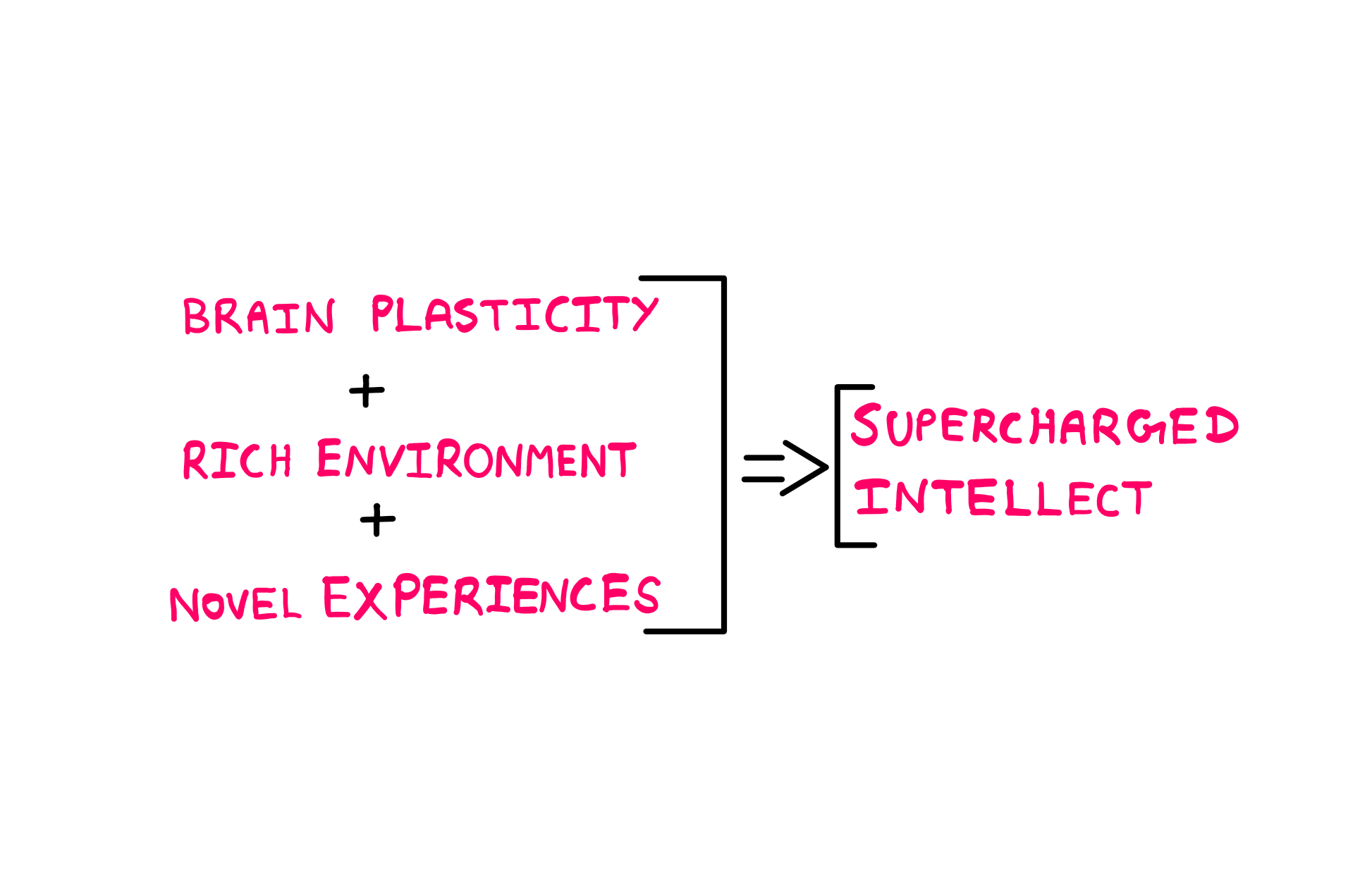 Brain Plasticity: How To Really Supercharge Your Intellect - A illustration showing the following verbal equation: Brain plasticity + Rich Environment + Novel Experiences = Supercharged Intellect.