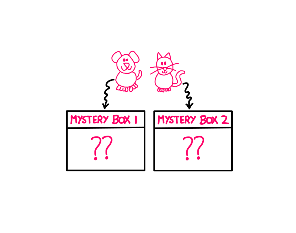 Tricky Logic Puzzle (V): How To Really Solve It? - A whiteboard-style graphic illustration showing a cat and dog above two mystery boxes labelled "Mystery Box 1" and "Mystery Box 2". On the surface of each of these boxes, there are two question marks "??" marked.