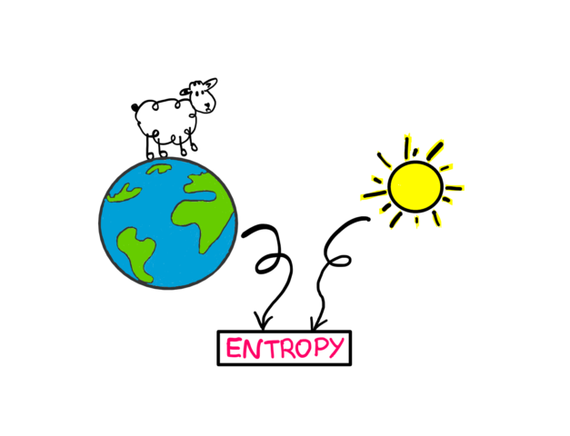 The Relationship Between Life, Stars, and Entropy - A funny-looking cartoon sheep standing on Earth (the sheep is disproportionately large compared to the earth), the sun on the right, and curly arrows somehow relating the earth and the sun to the word "entropy"