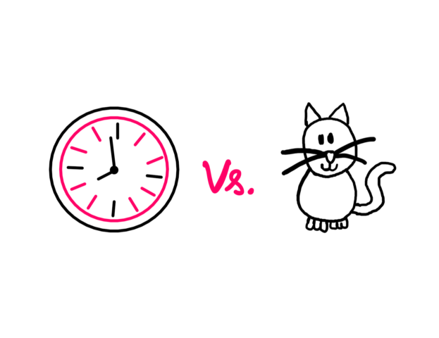 What Makes Clocks And Cats Different? - a hand-drawn clock on the left and a funny comic-like hand-drawn cat on the right. The word "Vs." in between.
