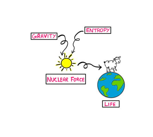 Gravity and entropy give rise to nuclear force, which gives rise to the sub (all of this is comically hand-drawn). The sun then gives rise to life which is represented comically by a hand-drawn planet Earth with one over-sized sheep standing on top of the Earth.